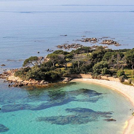 Studio Rue Pietonne Ajaccio Аячо Екстериор снимка