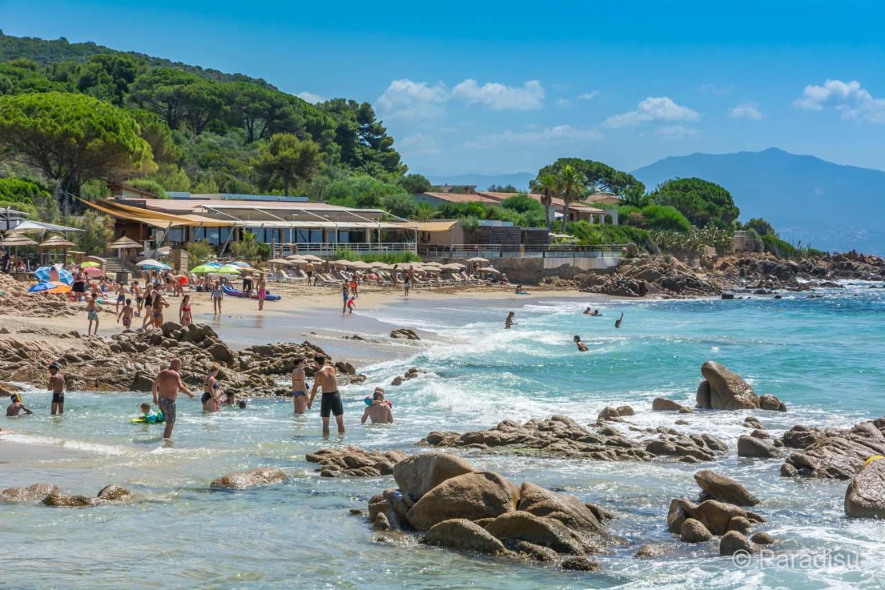 Studio Rue Pietonne Ajaccio Аячо Екстериор снимка